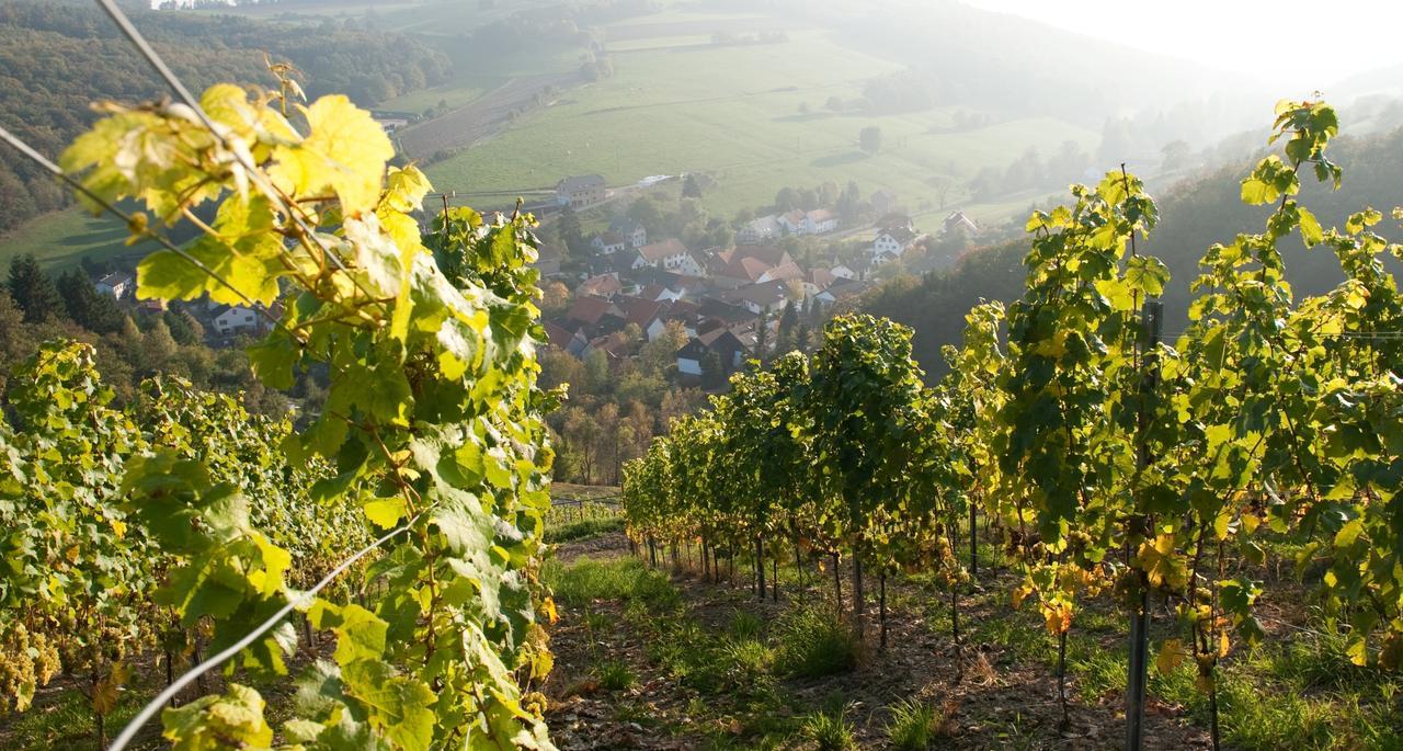 Weingut Hees - Landgasthof Zum Jaeger Aus Kurpfalz Auen Exterior foto