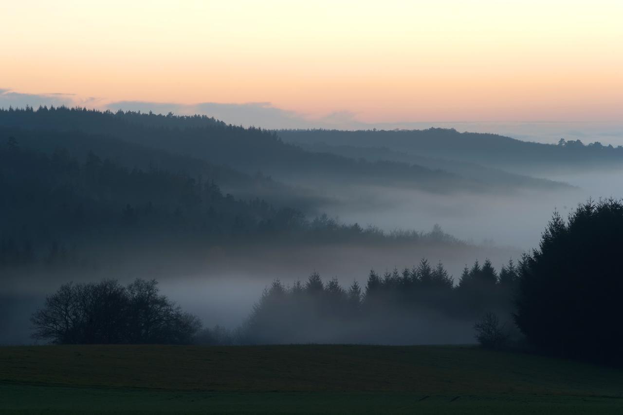 Weingut Hees - Landgasthof Zum Jaeger Aus Kurpfalz Auen Exterior foto