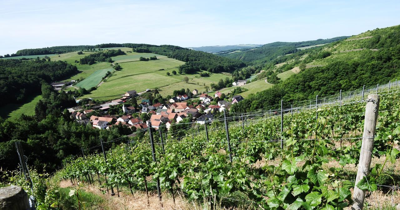Weingut Hees - Landgasthof Zum Jaeger Aus Kurpfalz Auen Exterior foto