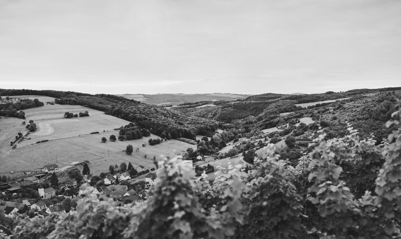 Weingut Hees - Landgasthof Zum Jaeger Aus Kurpfalz Auen Exterior foto